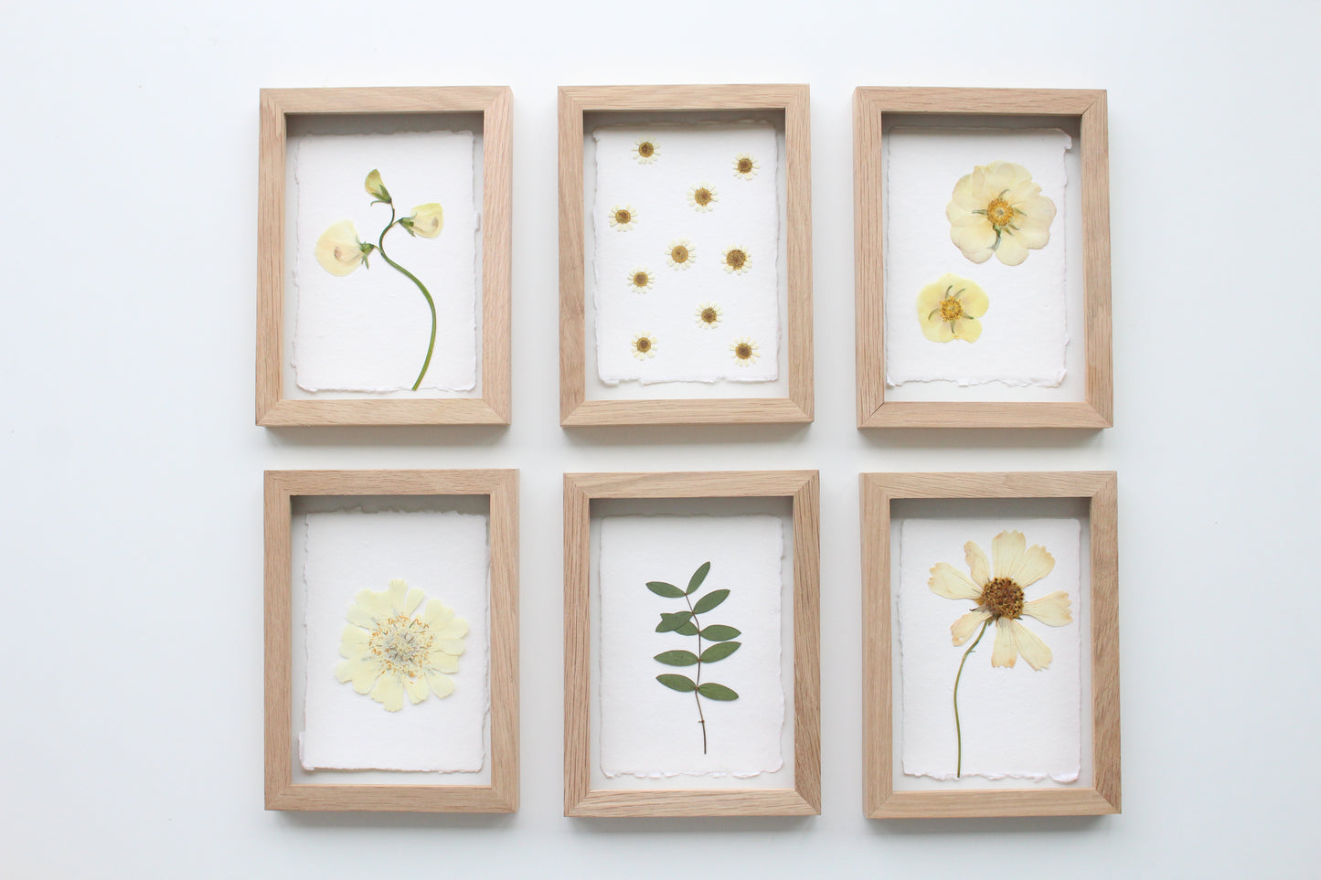Bouquet Preservation DEPOSIT (Please fill out the inquiry form before sending a deposit to confirm my availability)