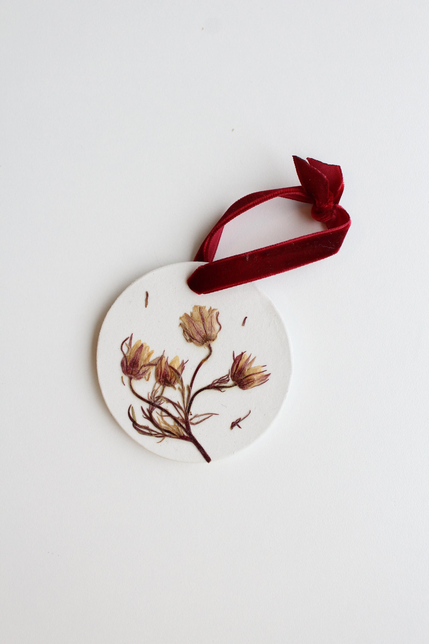 PRAIRIE SMOKE, symbol of Resilience & Endurance