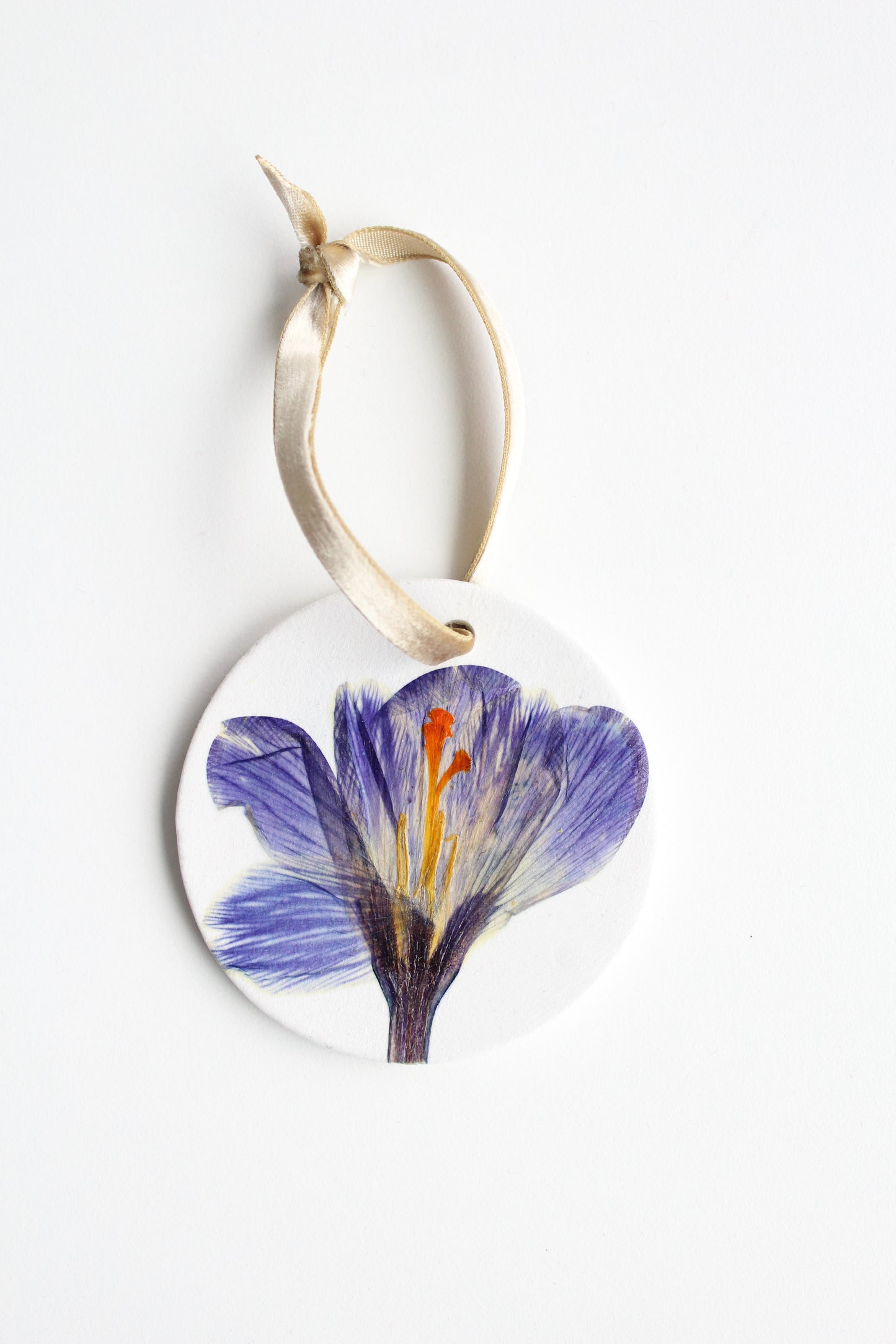 CORCUS, symbol of Rebirth, Joy & Romance