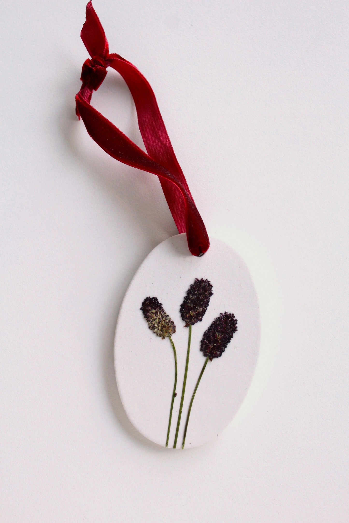 SANGUISORBA, symbol of Healing & Restoring