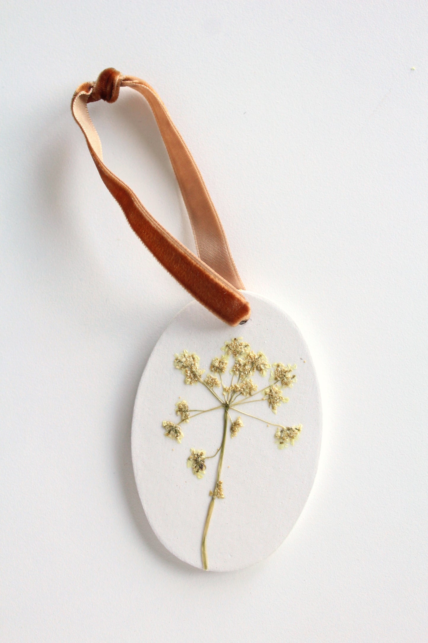 QUEEN ANN'S LACE , symbol of Safety, Sanctuary, & Refuge