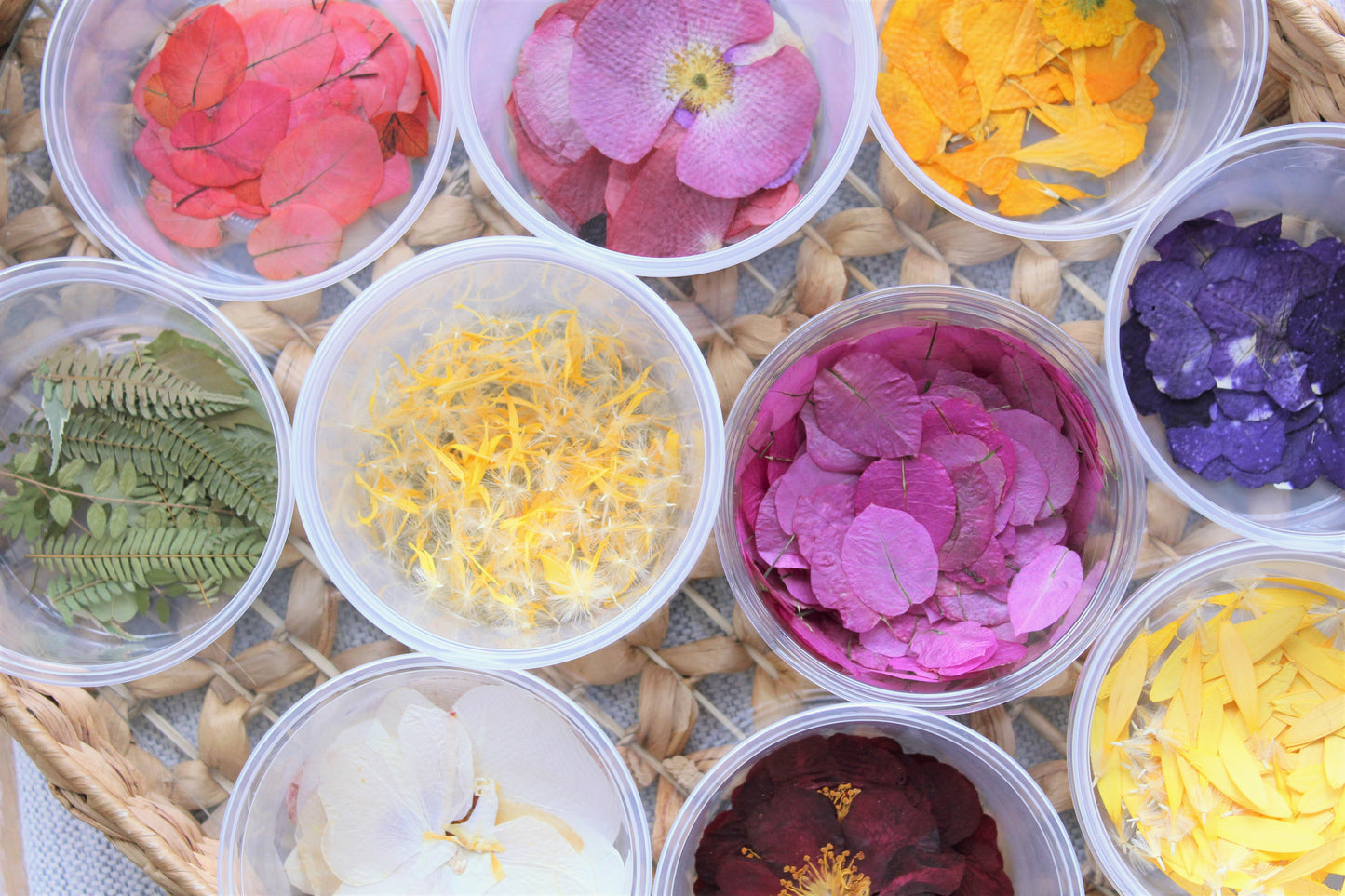 Loose Pressed Flowers