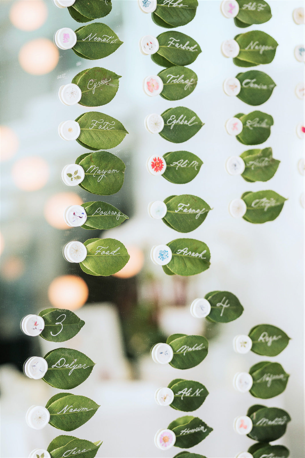 Fresh Green Leaves (12 pieces)
