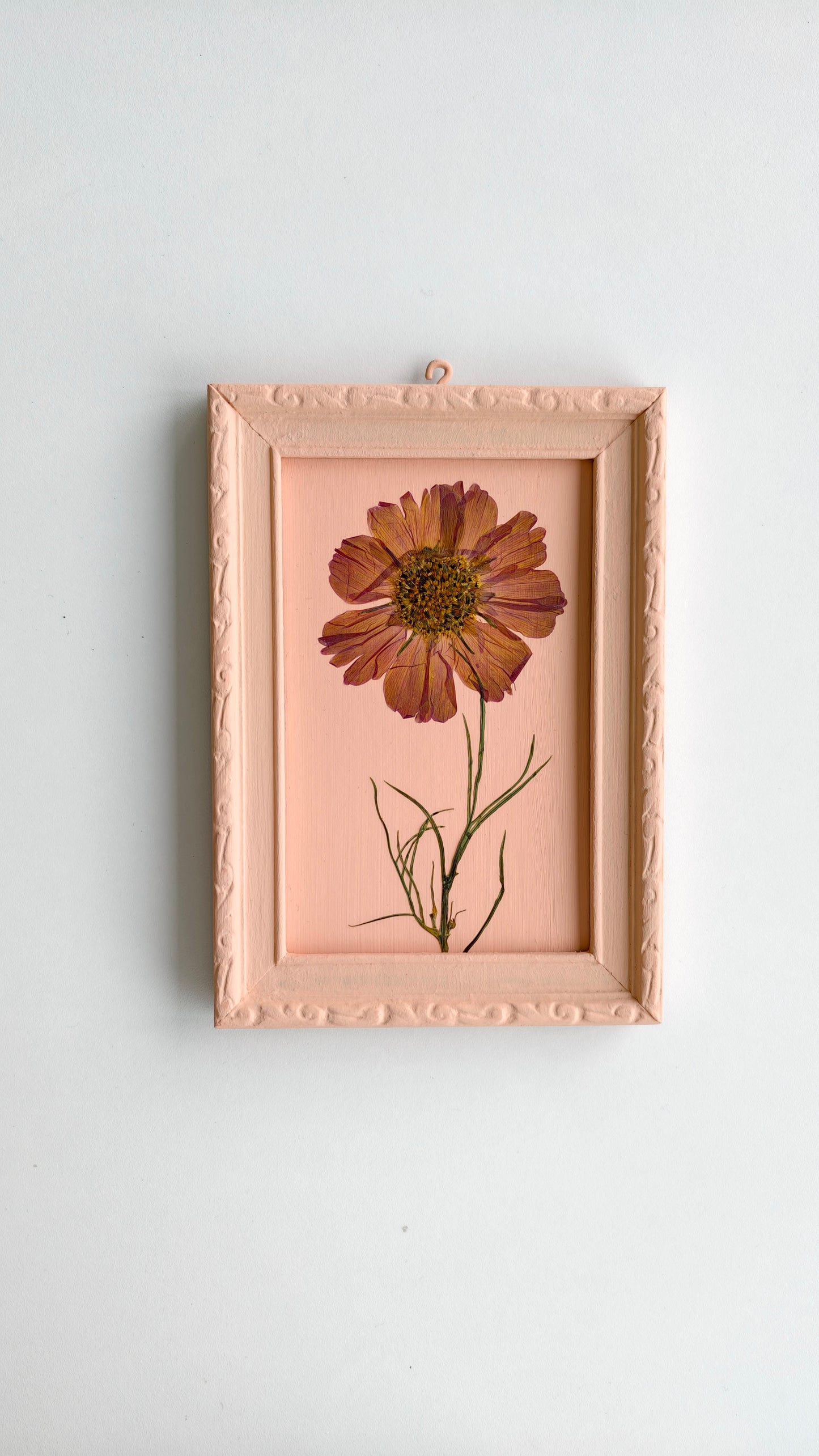 Cosmos