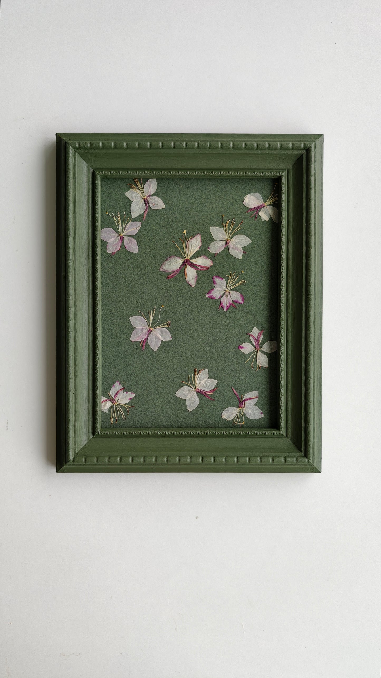 Gaura