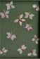 Gaura