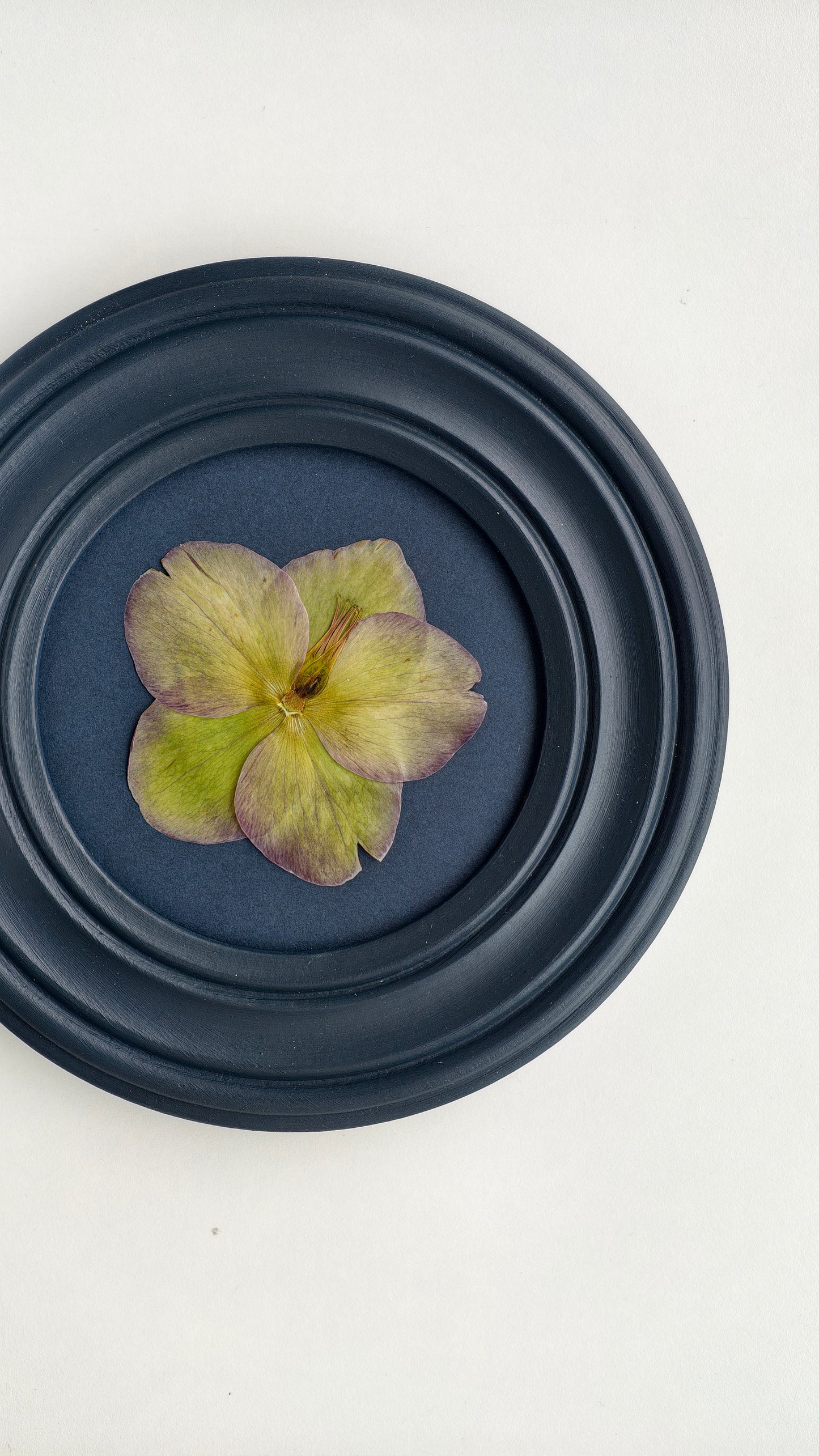 Hellebore