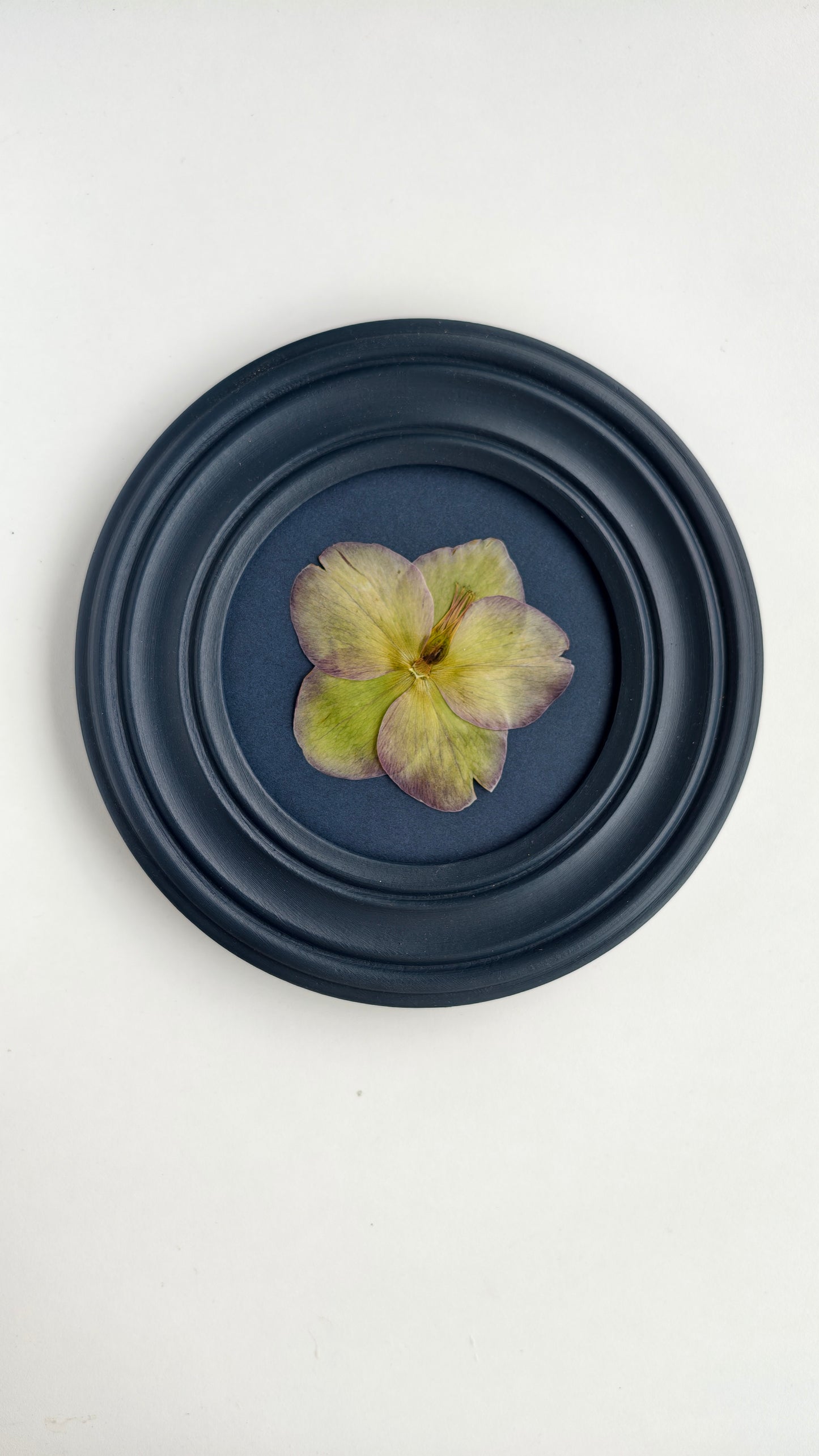 Hellebore
