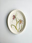 Fritillaria