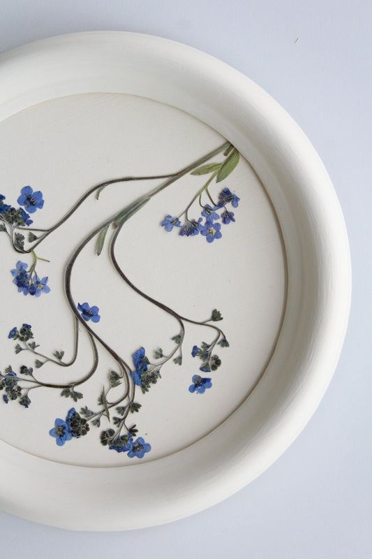 Forget Me Not