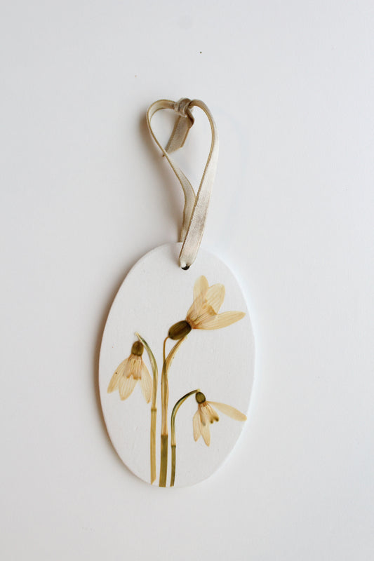 SNOWDROPS, symbol of Rebirth, Hope & New beginnings