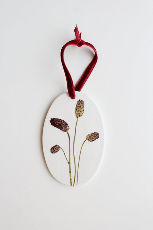 SANGUISORBA, symbol of Healing & Restoring