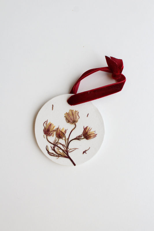 PRAIRIE SMOKE, symbol of Resilience & Endurance