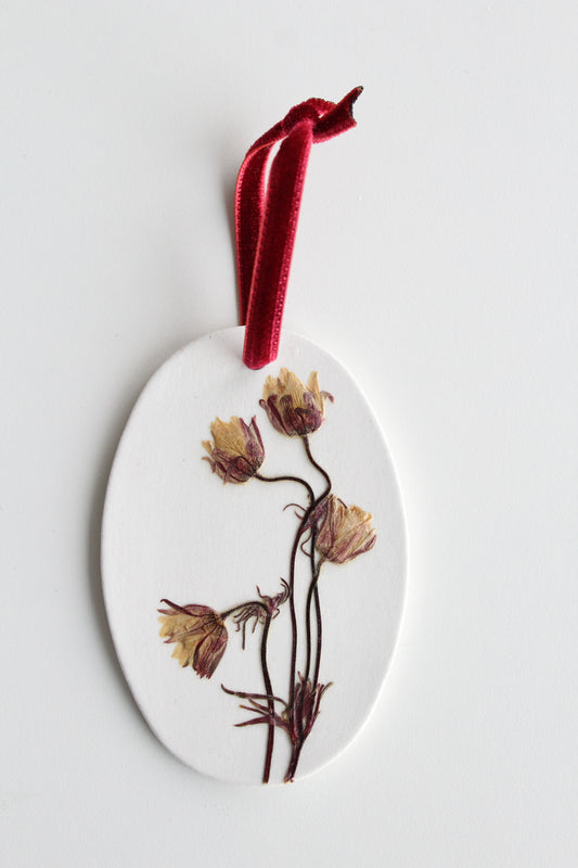 PRAIRIE SMOKE, symbol of Resilience & Endurance