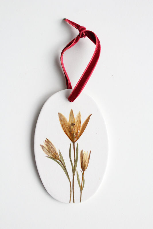 Lily, symbol of Purity, Fertility & New Beginnings