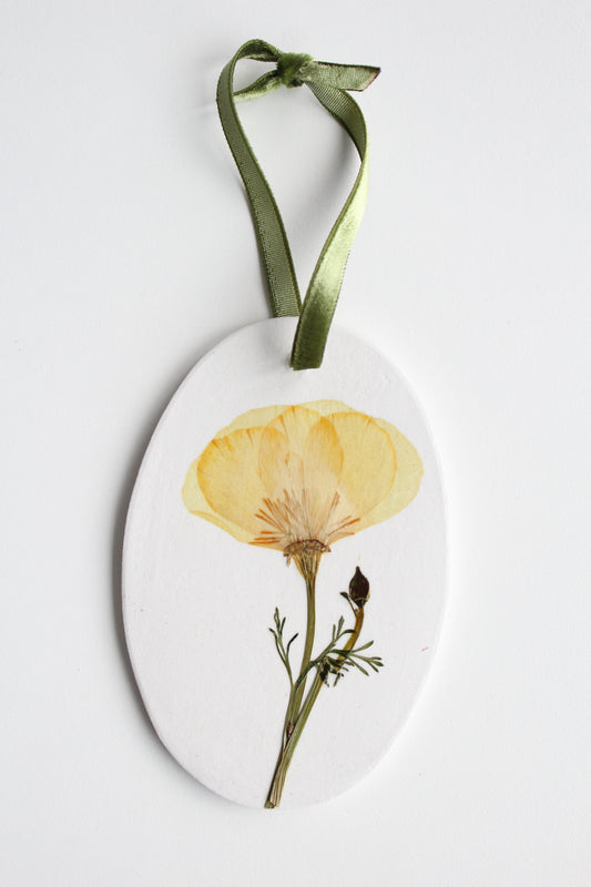 ornament 17