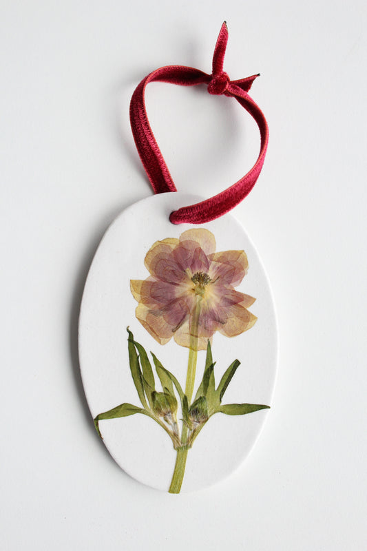 ornament 8
