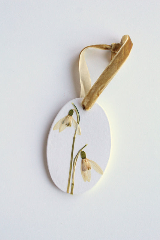 ornament 59