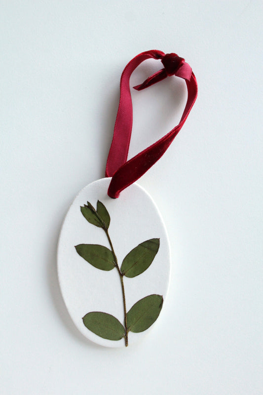 ornament 67