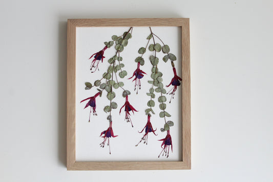 Dancing Fuchsia