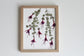 Dancing Fuchsia